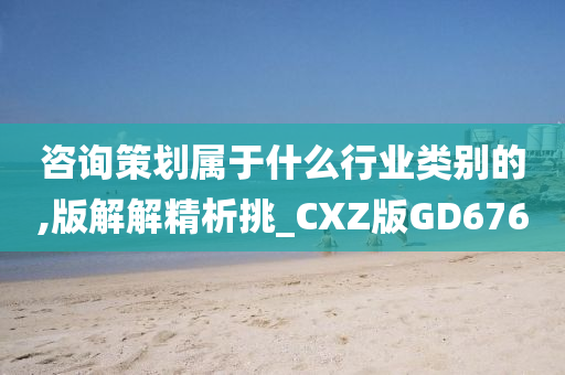 咨询策划属于什么行业类别的,版解解精析挑_CXZ版GD676