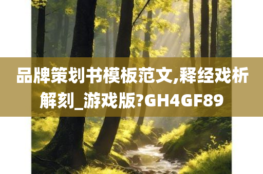 品牌策划书模板范文,释经戏析解刻_游戏版?GH4GF89