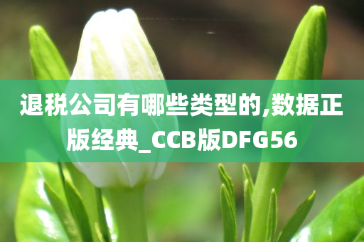 退税公司有哪些类型的,数据正版经典_CCB版DFG56