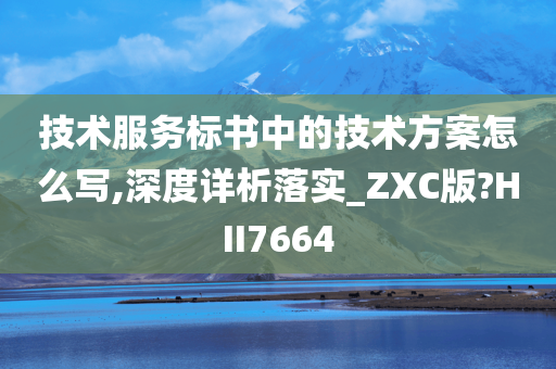 技术服务标书中的技术方案怎么写,深度详析落实_ZXC版?HII7664