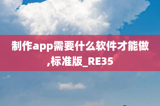 制作app需要什么软件才能做,标准版_RE35