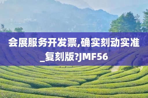 会展服务开发票,确实刻动实准_复刻版?JMF56