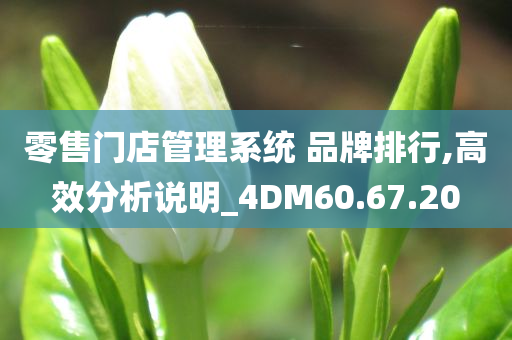 零售门店管理系统 品牌排行,高效分析说明_4DM60.67.20