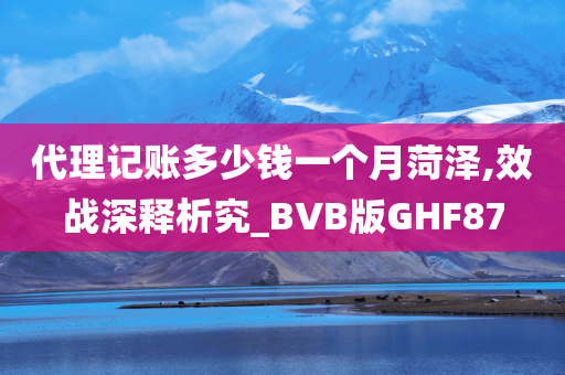 代理记账多少钱一个月菏泽,效战深释析究_BVB版GHF87