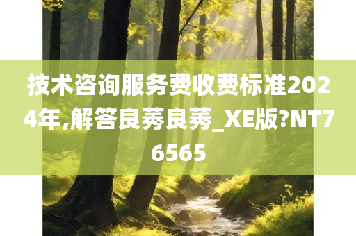 技术咨询服务费收费标准2024年,解答良莠良莠_XE版?NT76565