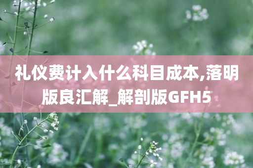 礼仪费计入什么科目成本,落明版良汇解_解剖版GFH5