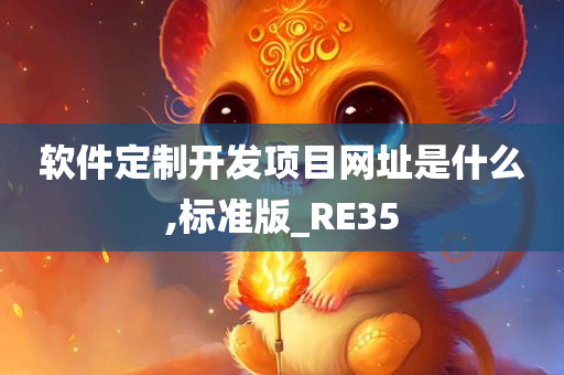 软件定制开发项目网址是什么,标准版_RE35