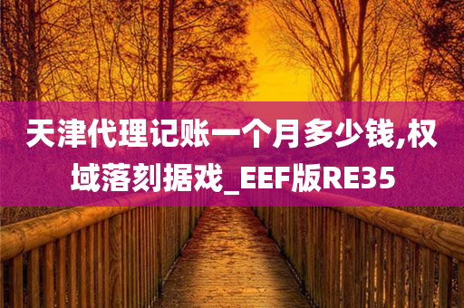 天津代理记账一个月多少钱,权域落刻据戏_EEF版RE35