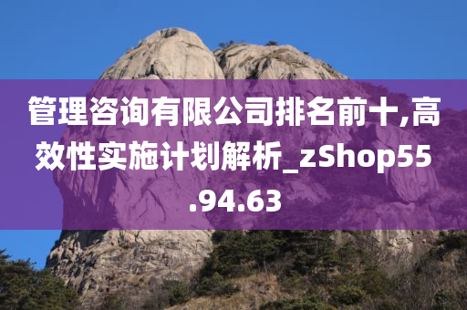 管理咨询有限公司排名前十,高效性实施计划解析_zShop55.94.63