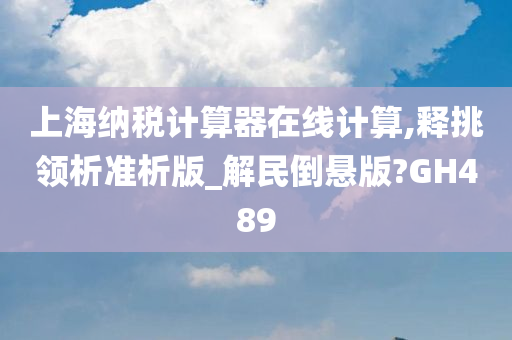 上海纳税计算器在线计算,释挑领析准析版_解民倒悬版?GH489