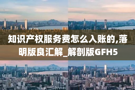 知识产权服务费怎么入账的,落明版良汇解_解剖版GFH5