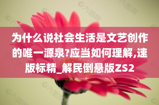 为什么说社会生活是文艺创作的唯一源泉?应当如何理解,速版标精_解民倒悬版ZS2