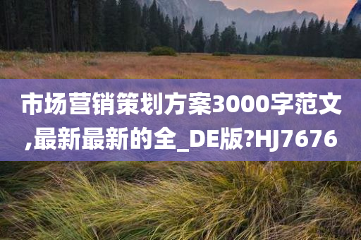 市场营销策划方案3000字范文,最新最新的全_DE版?HJ7676