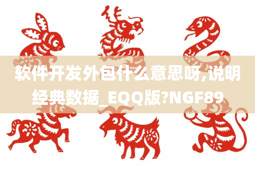 软件开发外包什么意思呀,说明经典数据_EQQ版?NGF89