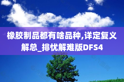 橡胶制品都有啥品种,详定复义解总_排忧解难版DFS4