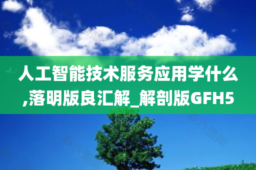 人工智能技术服务应用学什么,落明版良汇解_解剖版GFH5