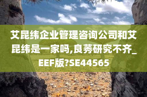 艾昆纬企业管理咨询公司和艾昆纬是一家吗,良莠研究不齐_EEF版?SE44565