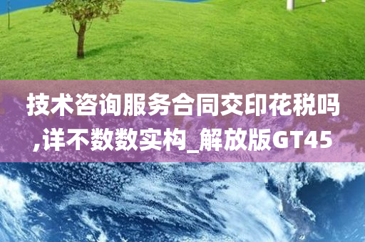 技术咨询服务合同交印花税吗,详不数数实构_解放版GT45