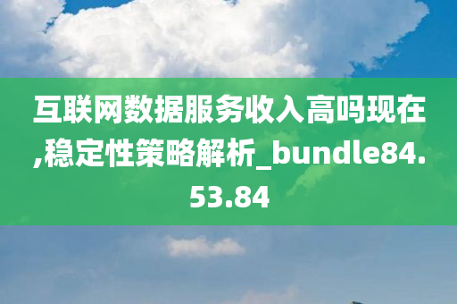 互联网数据服务收入高吗现在,稳定性策略解析_bundle84.53.84