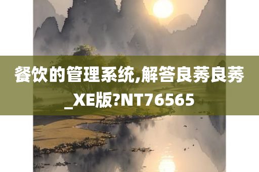 餐饮的管理系统,解答良莠良莠_XE版?NT76565