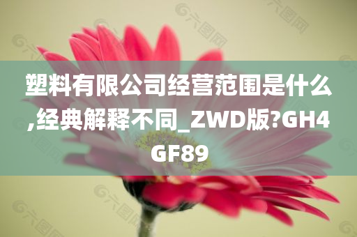 塑料有限公司经营范围是什么,经典解释不同_ZWD版?GH4GF89