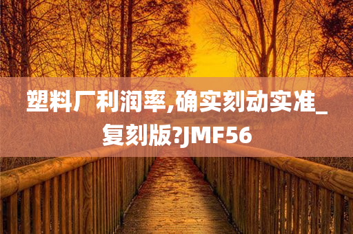 塑料厂利润率,确实刻动实准_复刻版?JMF56