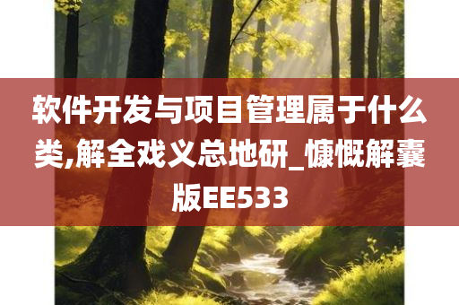 软件开发与项目管理属于什么类,解全戏义总地研_慷慨解囊版EE533