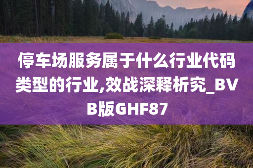 停车场服务属于什么行业代码类型的行业,效战深释析究_BVB版GHF87