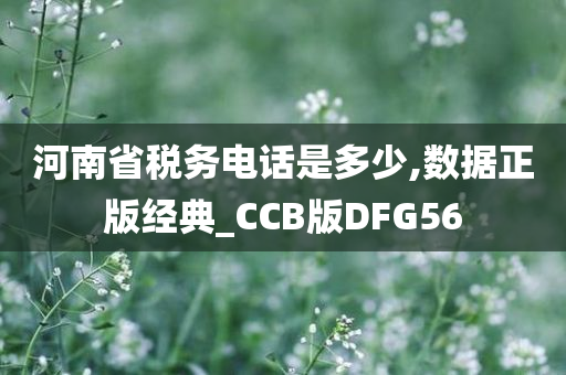 河南省税务电话是多少,数据正版经典_CCB版DFG56