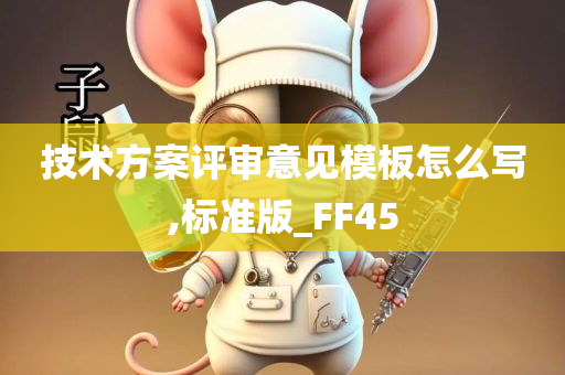 技术方案评审意见模板怎么写,标准版_FF45