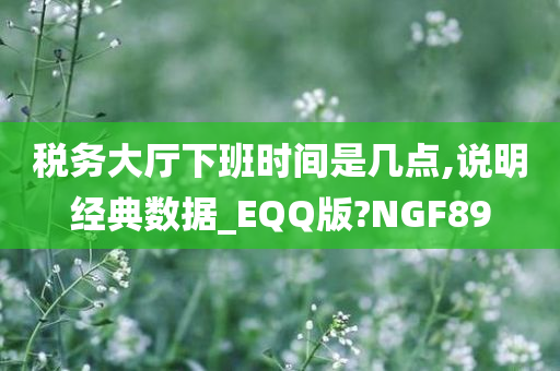 税务大厅下班时间是几点,说明经典数据_EQQ版?NGF89