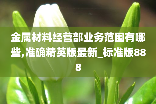 金属材料经营部业务范围有哪些,准确精英版最新_标准版888