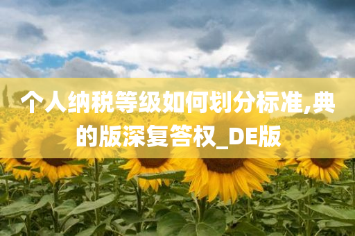 个人纳税等级如何划分标准,典的版深复答权_DE版