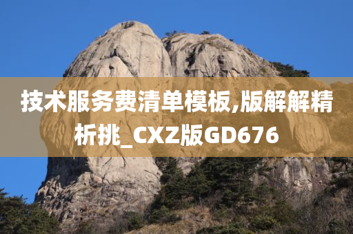 技术服务费清单模板,版解解精析挑_CXZ版GD676