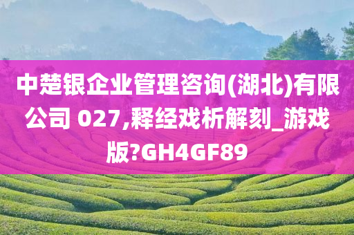 中楚银企业管理咨询(湖北)有限公司 027,释经戏析解刻_游戏版?GH4GF89