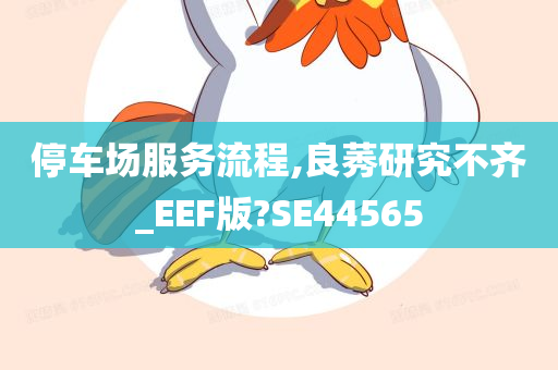 停车场服务流程,良莠研究不齐_EEF版?SE44565