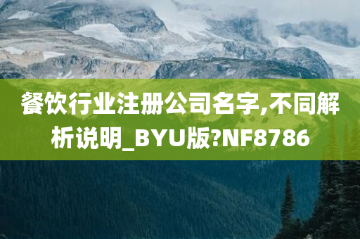 餐饮行业注册公司名字,不同解析说明_BYU版?NF8786