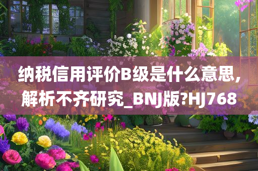 纳税信用评价B级是什么意思,解析不齐研究_BNJ版?HJ768