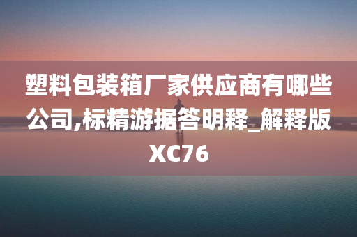 塑料包装箱厂家供应商有哪些公司,标精游据答明释_解释版XC76