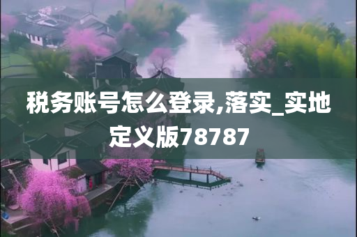 税务账号怎么登录,落实_实地定义版78787