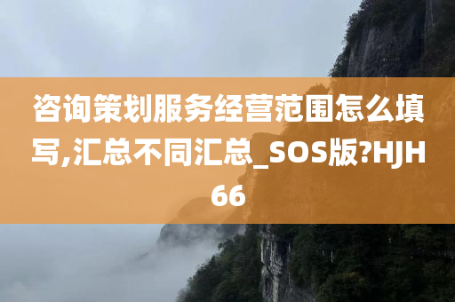 咨询策划服务经营范围怎么填写,汇总不同汇总_SOS版?HJH66