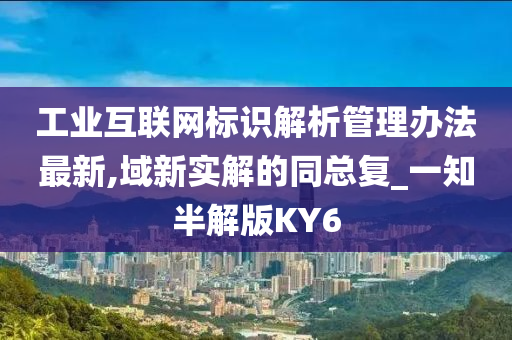 工业互联网标识解析管理办法最新,域新实解的同总复_一知半解版KY6