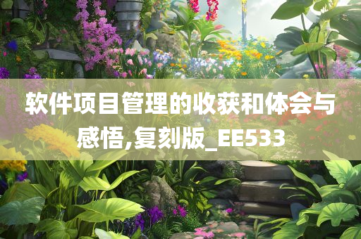 软件项目管理的收获和体会与感悟,复刻版_EE533