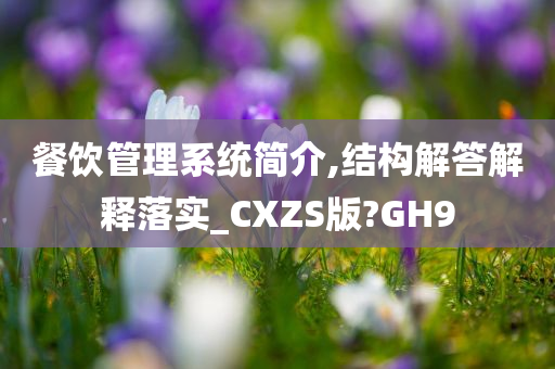 餐饮管理系统简介,结构解答解释落实_CXZS版?GH9