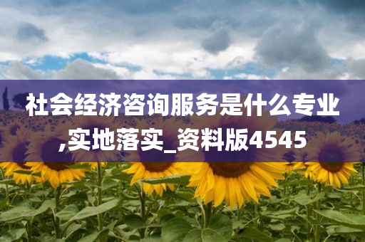 社会经济咨询服务是什么专业,实地落实_资料版4545