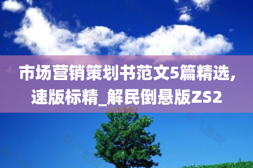 市场营销策划书范文5篇精选,速版标精_解民倒悬版ZS2