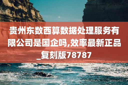 贵州东数西算数据处理服务有限公司是国企吗,效率最新正品_复刻版78787