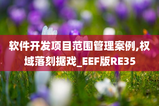 软件开发项目范围管理案例,权域落刻据戏_EEF版RE35