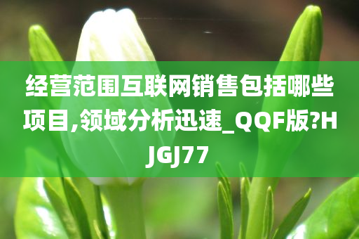 经营范围互联网销售包括哪些项目,领域分析迅速_QQF版?HJGJ77