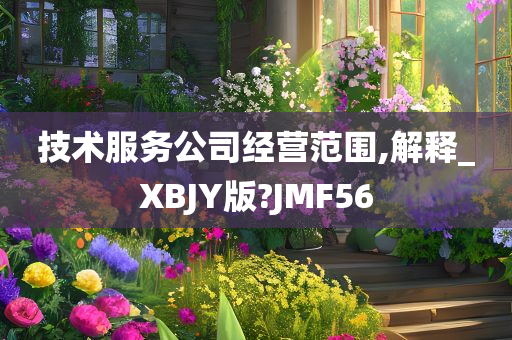 技术服务公司经营范围,解释_XBJY版?JMF56